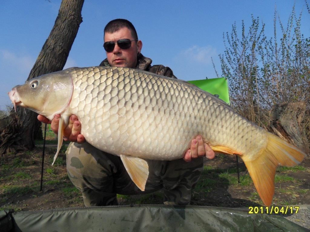 Nagykallo 2012 - rzv2012-135.JPG